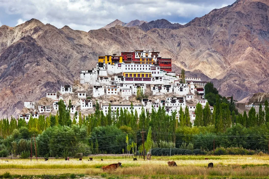 5 Nights 6 Days Kashmir Tour Package