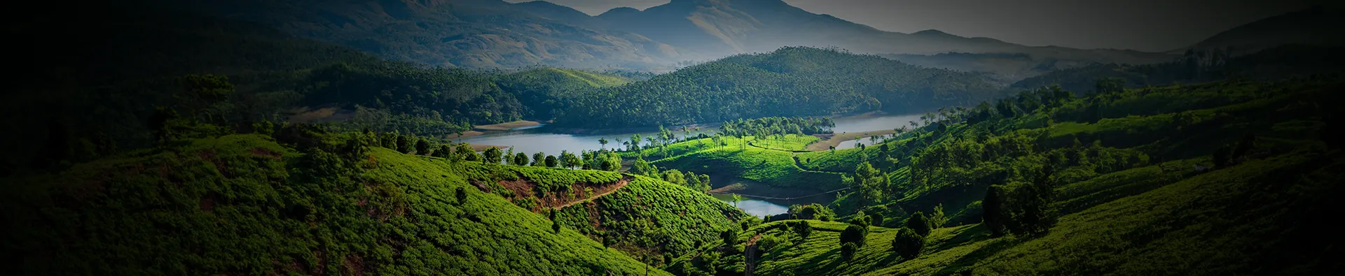 2 Nights 3 Days Kerala Munnar Tour Package