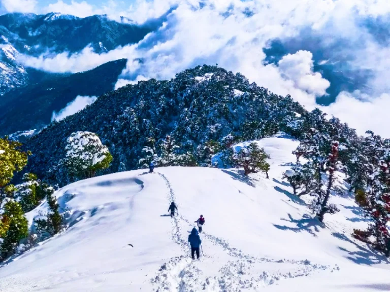 Manali Tour Package