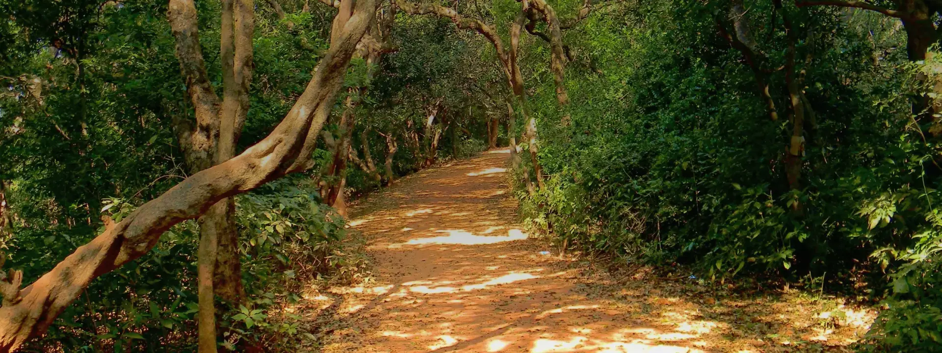 Mahabaleshwar Tour Package from Mumbai